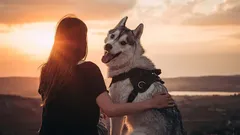 Najwierniejszy przyjaciel człowieka: czy pies może zapomnieć o swoim właścicielu?
