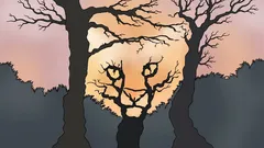 Co widzisz na tym obrazku? To test psychologiczny, który pokazuje, jak postrzegasz świat.